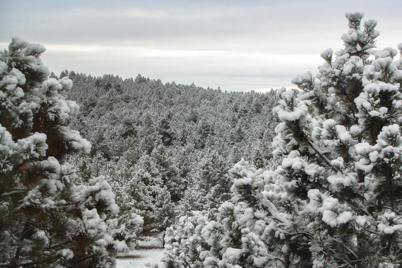 The Apartment Retreat Near Mount Rushmore Hermosa المظهر الخارجي الصورة